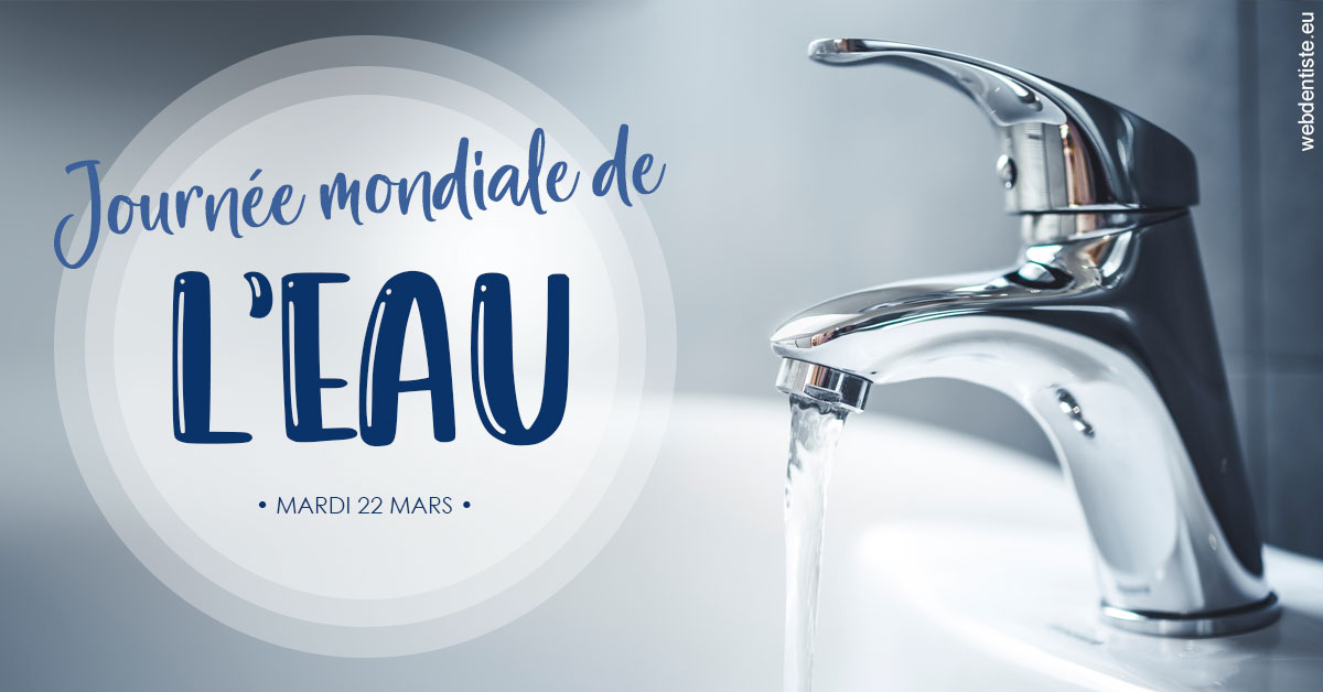 https://www.dr-necula.fr/La journée de l'eau 2