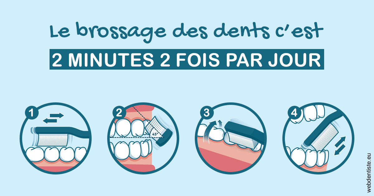 https://www.dr-necula.fr/Les techniques de brossage des dents 1