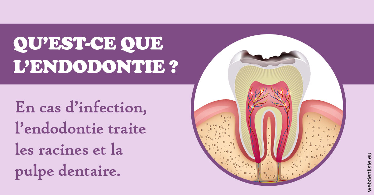 https://www.dr-necula.fr/2024 T1 - Endodontie 02