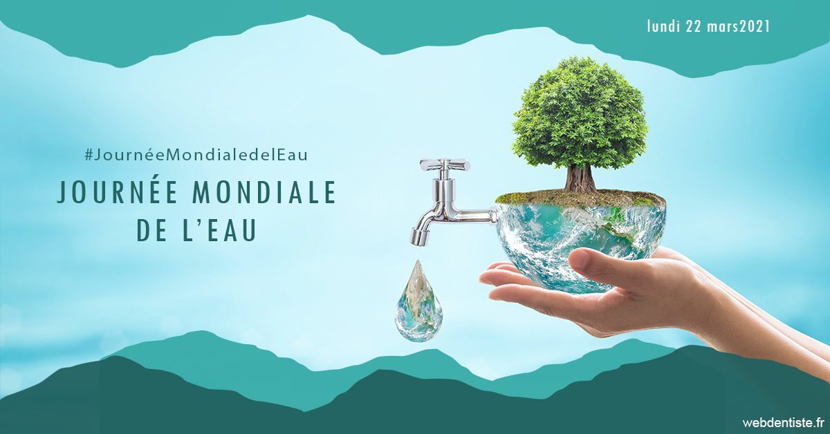 https://www.dr-necula.fr/Journée de l'eau 1
