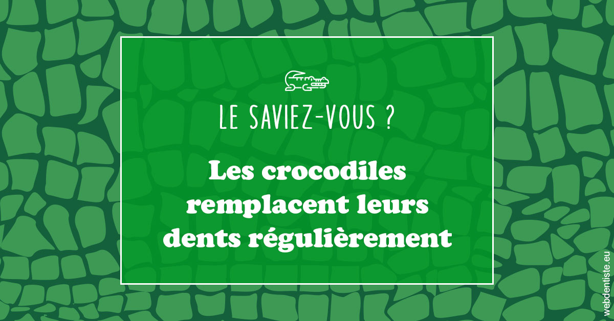 https://www.dr-necula.fr/Crocodiles 1